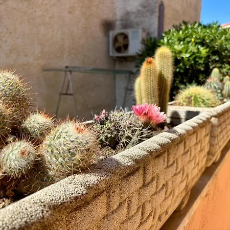 Alojamento de Acomodação e Pequeno-almoço Buena Vista 3*